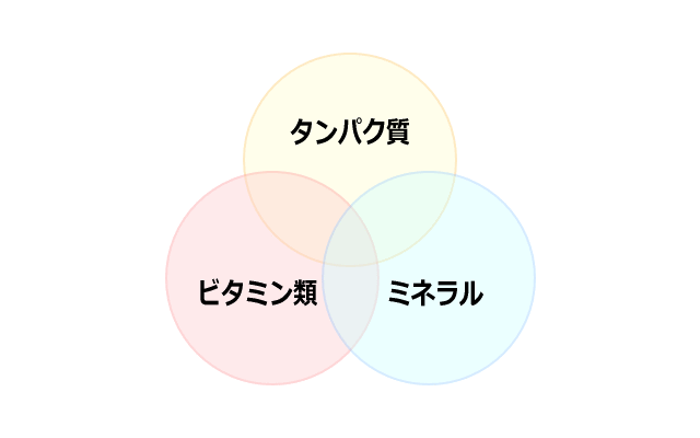 爪に必要な栄養素